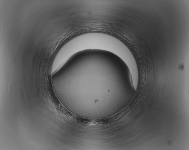 X0000115520504200911271326