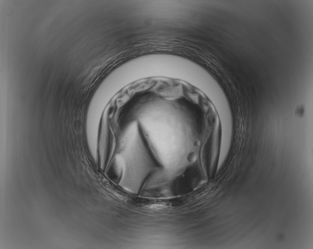 X0000115520505200911271326