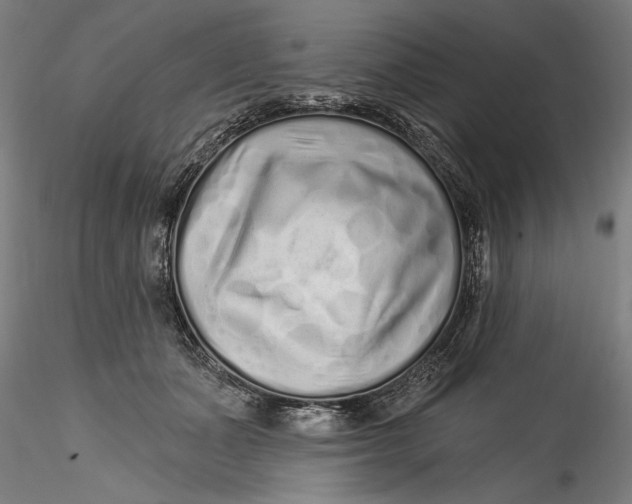 X0000115520511200911271326