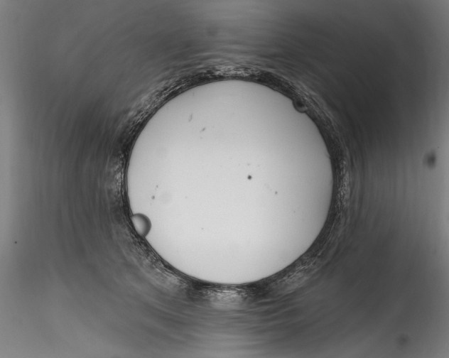 X0000115520513200911271326