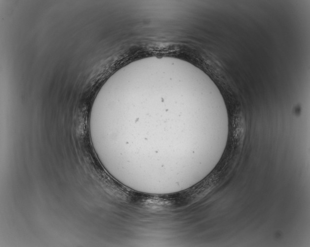 X0000115520515200911271326