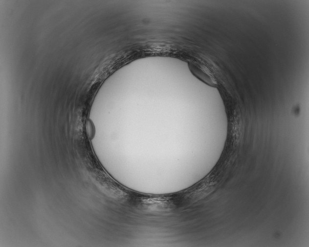 X0000115520516200911271326