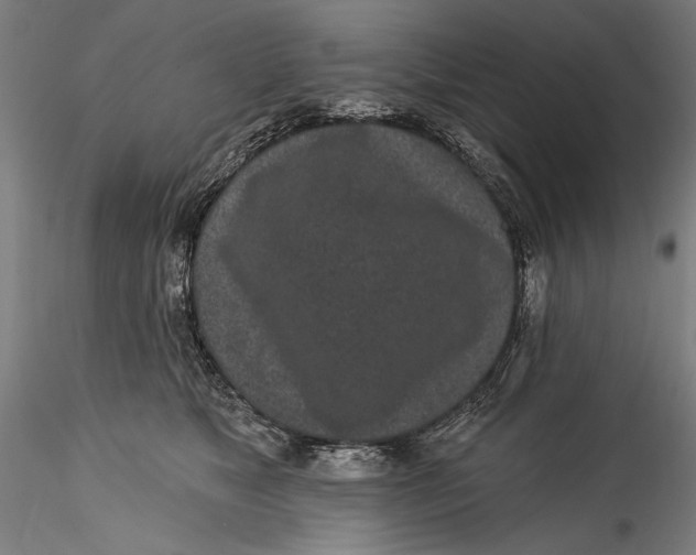 X0000115520517200911271326