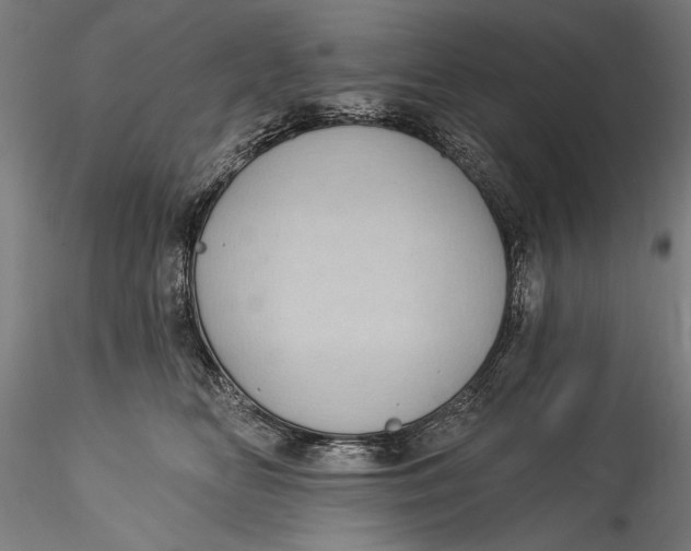 X0000115520518200911271326