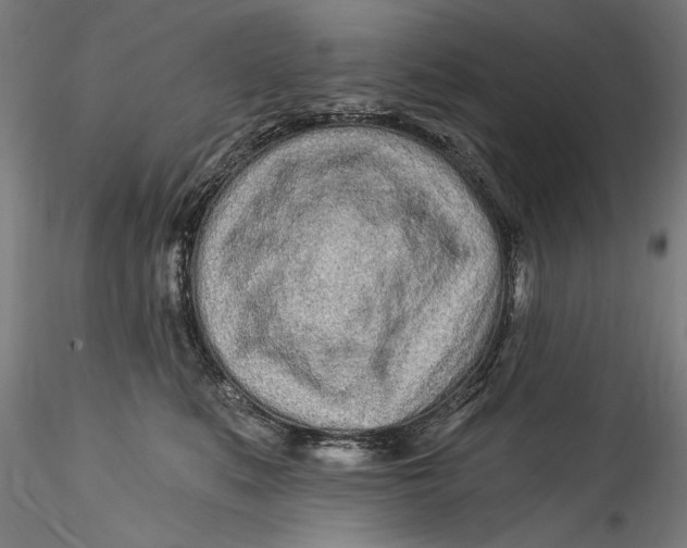 X0000115520519200911271326