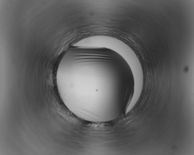 X0000115520524200911271326