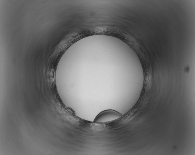 X0000115520525200911271326