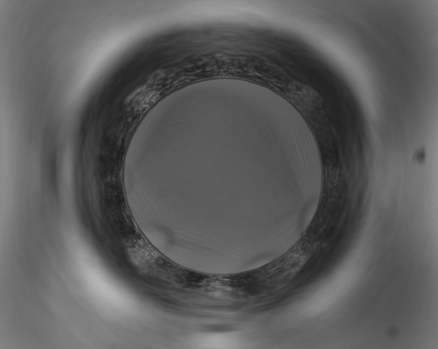 X0000115520526200911271326