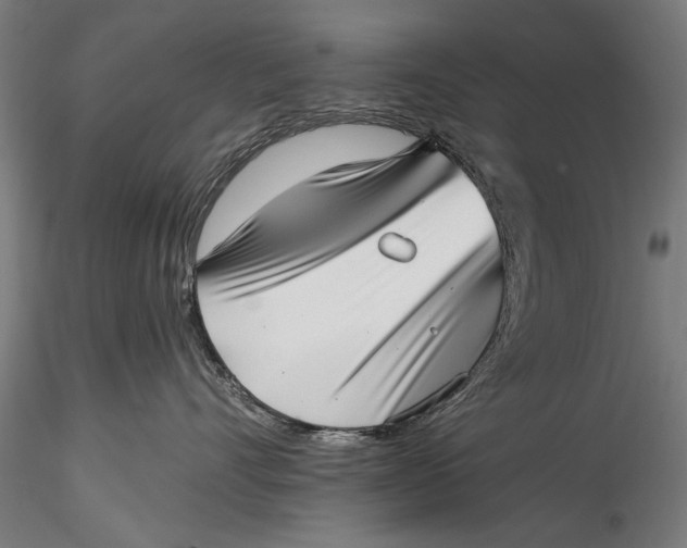 X0000115520528200911271326