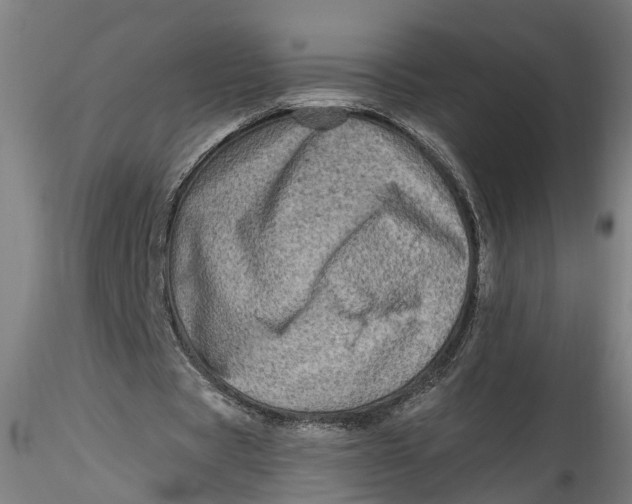 X0000115520529200911271325