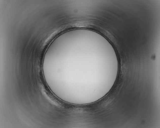 X0000115520530200911271325