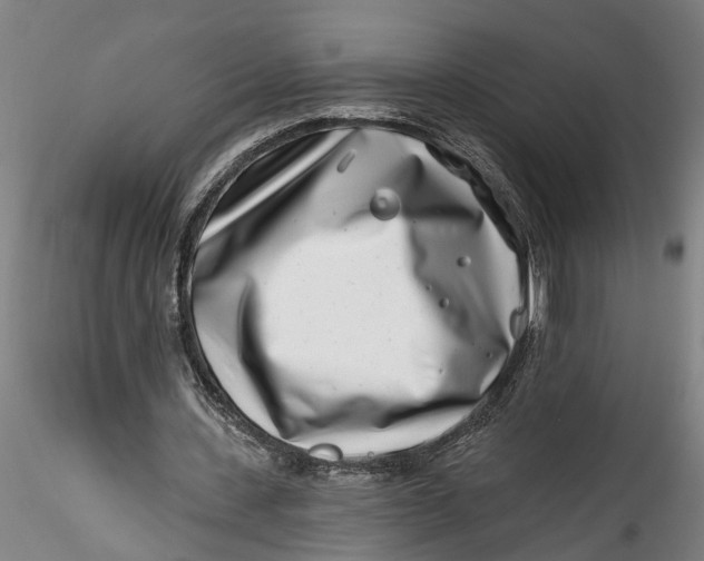 X0000115520531200911271325