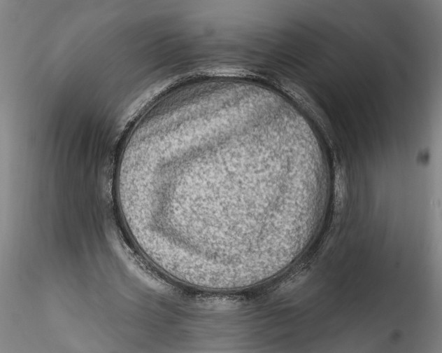 X0000115520533200911271325