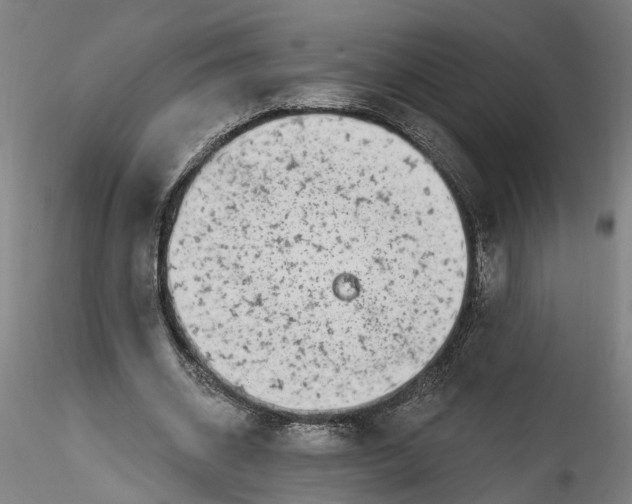 X0000115520534200911271325