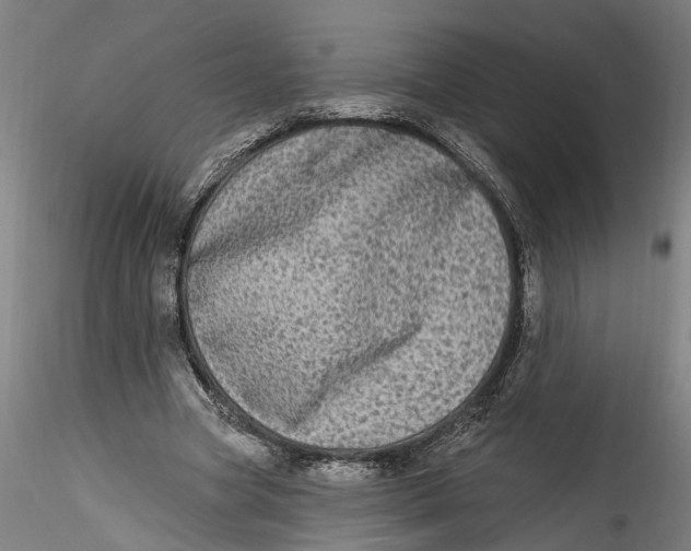 X0000115520537200911271325