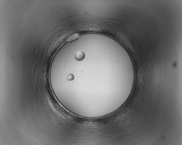 X0000115520538200911271325