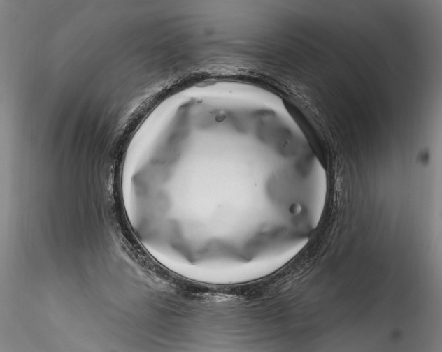 X0000115520539200911271325