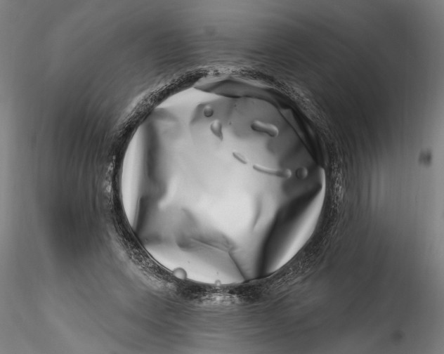 X0000115520543200911271325