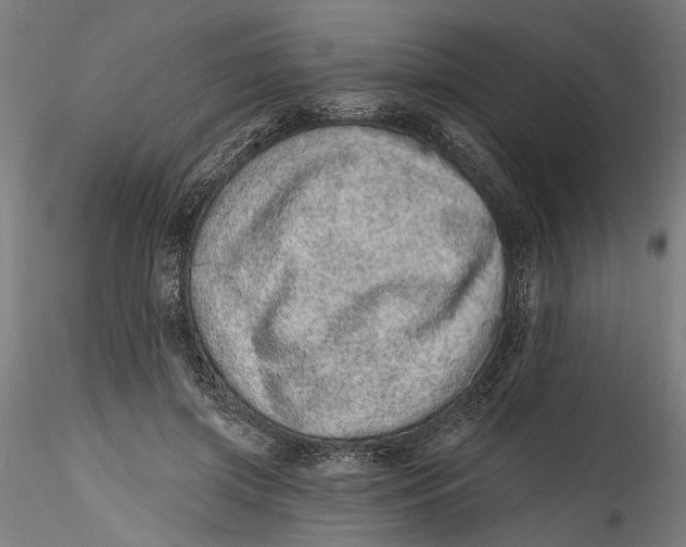 X0000115520549200911271325