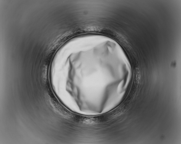 X0000115520550200911271325