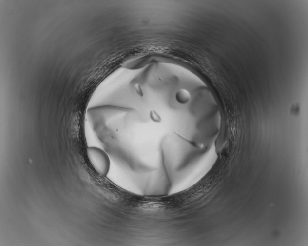 X0000115520551200911271325