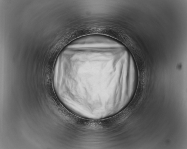 X0000115520553200911271325