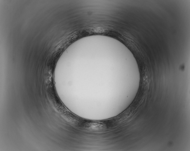 X0000115520555200911271325