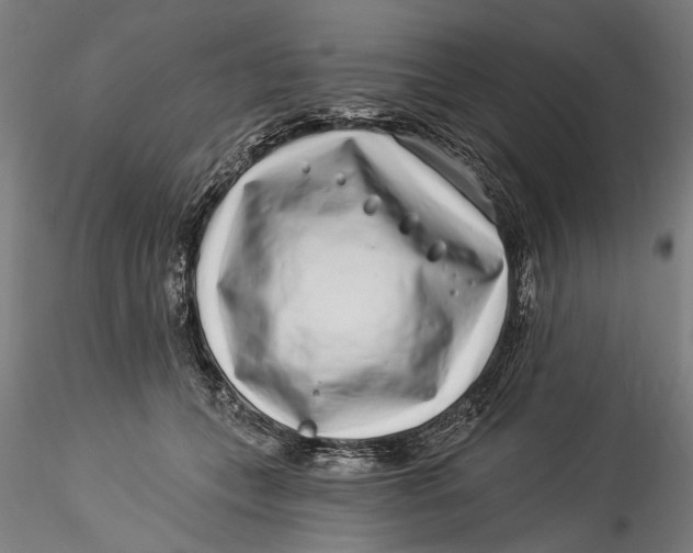 X0000115520559200911271325