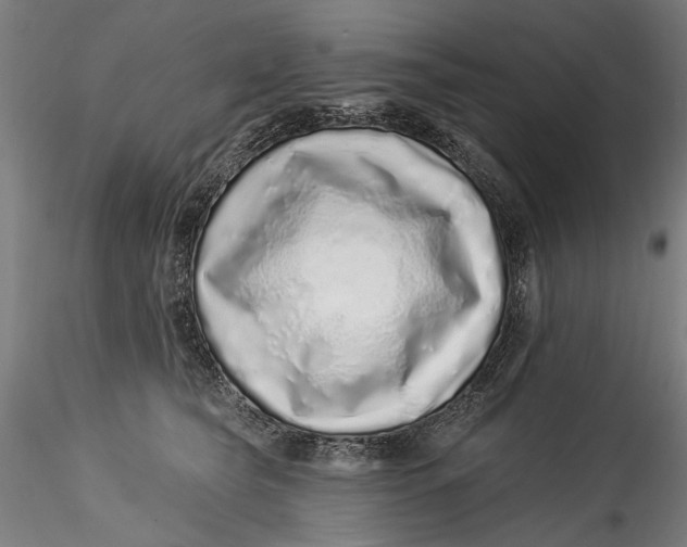 X0000115520565200911271325