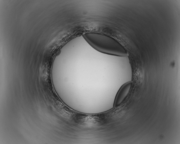 X0000115520566200911271325