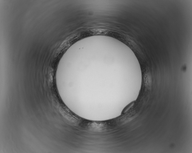 X0000115520570200911271325