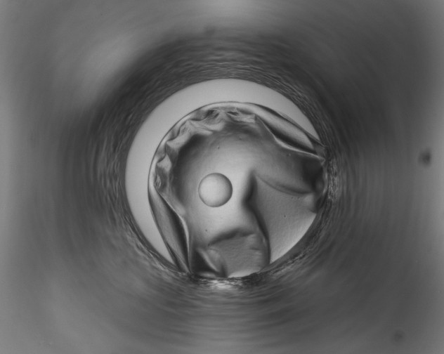 X0000115520573200911271326