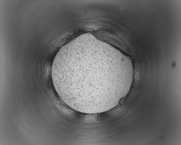 X0000115520574200911271326