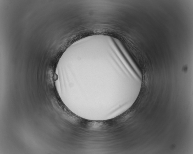 X0000115520575200911271326