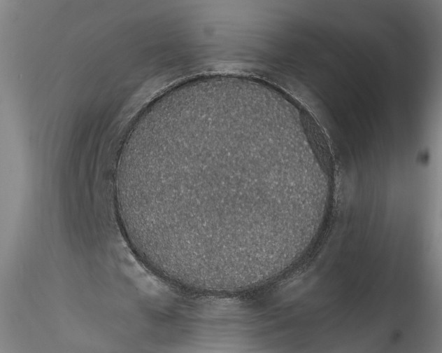 X0000115520577200911271325