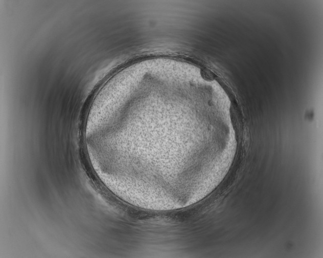 X0000115520578200911271325