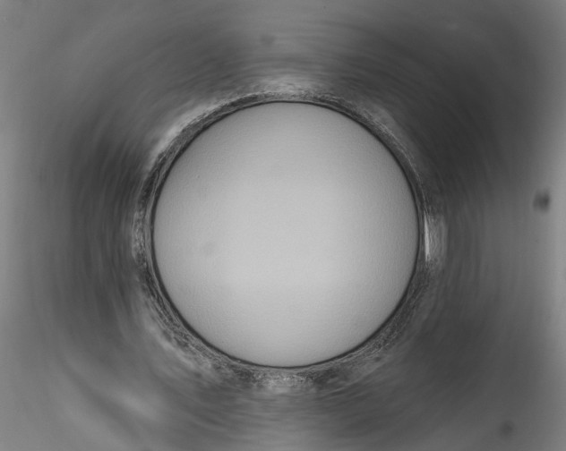 X0000115520579200911271325