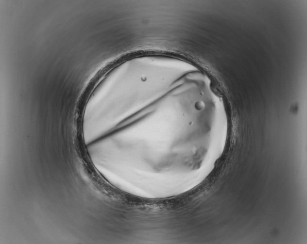 X0000115520580200911271325