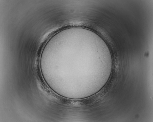 X0000115520583200911271325