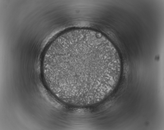 X0000115520584200911271325