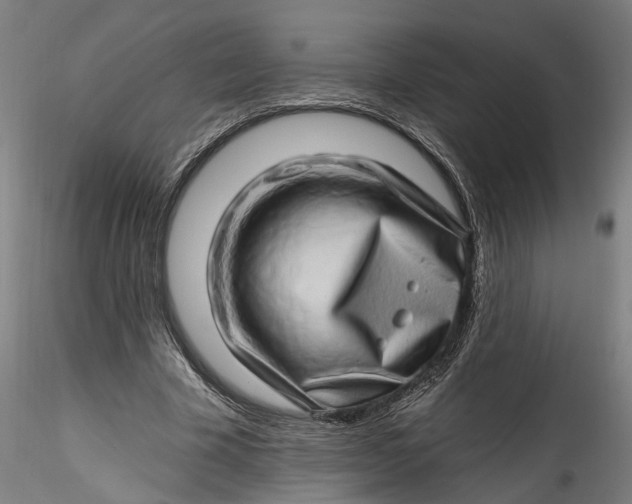 X0000115520585200911271325