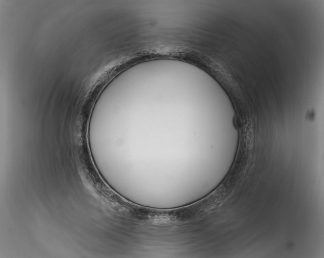 X0000115520587200911271325