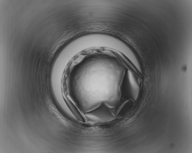 X0000115520589200911271325