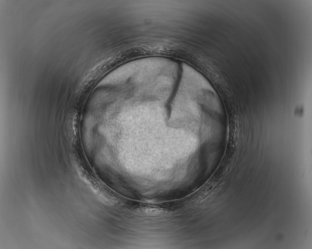 X0000115520590200911271325