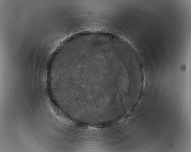 X0000115520592200911271325