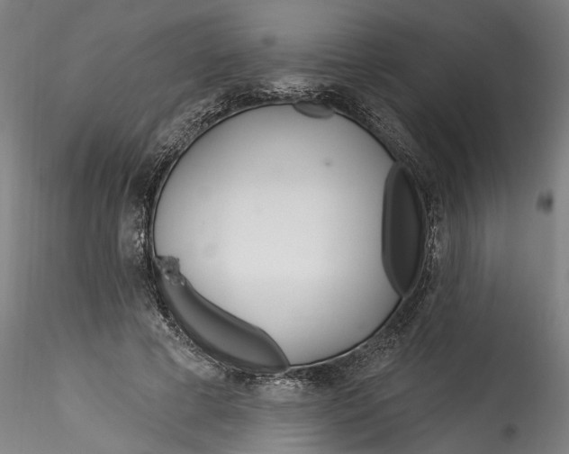 X0000115520593200911271325