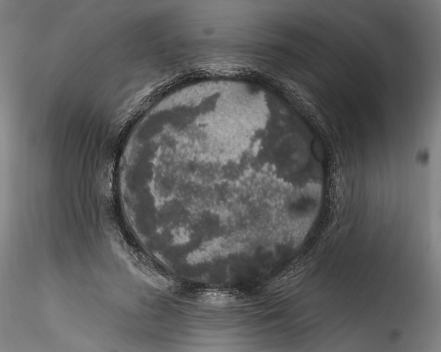 X0000115520596200911271325