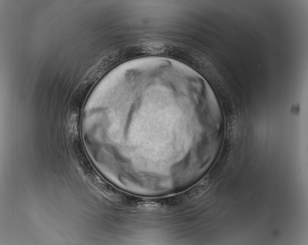 X0000115520598200911271325