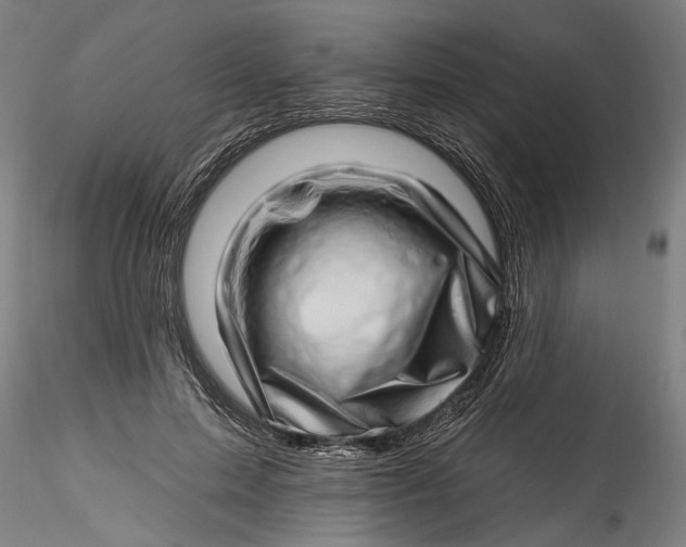 X0000115520599200911271325