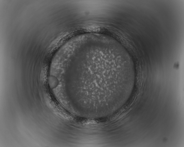 X0000115520600200911271325